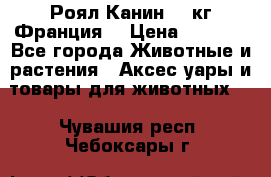  Роял Канин 20 кг Франция! › Цена ­ 3 520 - Все города Животные и растения » Аксесcуары и товары для животных   . Чувашия респ.,Чебоксары г.